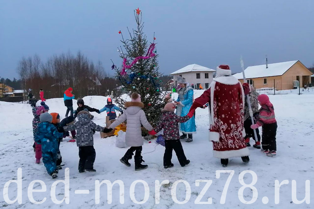 Дед Мороз выездная Ёлка в СПб