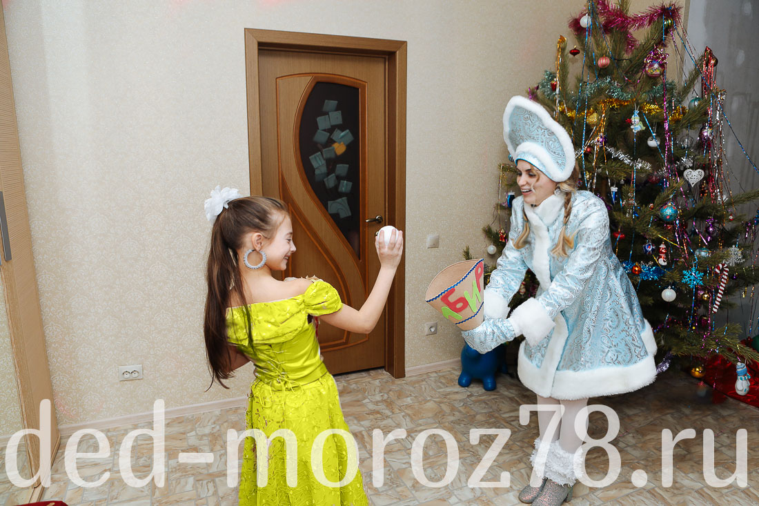 Дед Мороз и Снегурочка на дом в СПб